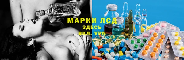 прущая мука Ельня