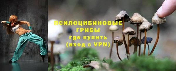 прущая мука Ельня
