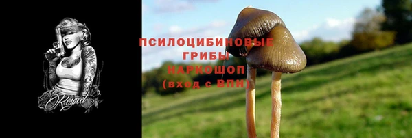 тгк Всеволожск