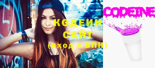 apvp Елизово