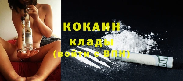 прущая мука Ельня
